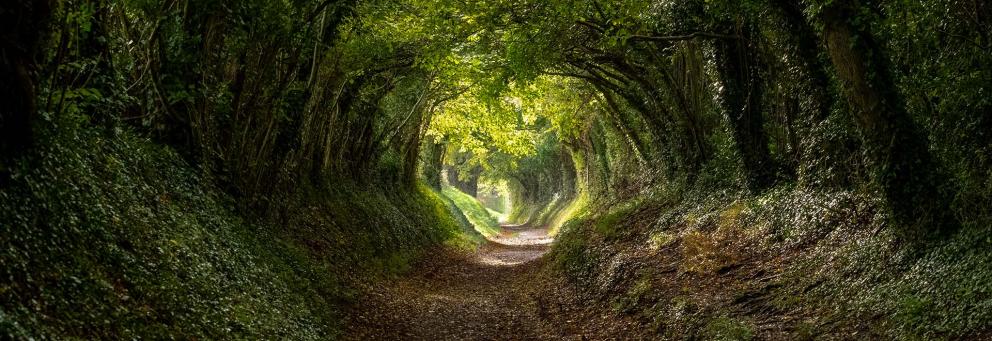 Projets de recherche